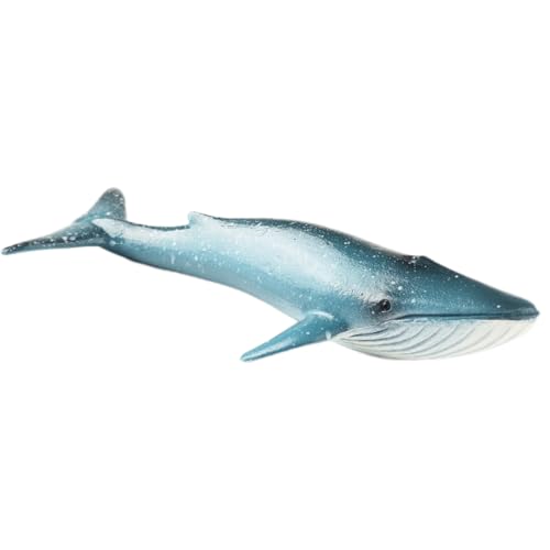 AENIMELY Realistische Blauwal-Figur, Meerestier, Wal-Spielzeug, Ozean-Marine-Figur, pädagogisches Tiermodell für Geburtstagsgeschenke, Partygeschenke, Kinderspielzeug AENIMELY Realistische Blauwal-Figur, Meerestier, Wal-Spielzeug, Ozean-Marine-Figur, pädagogisches Tiermodell für Geburtstagsgeschenke, Partygeschenke, Kinderspielzeug von AENIMELY