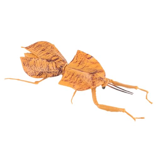 AENIMELY Realistische Insektenfigur – Große Feste Totes-Blatt-Gottesanbeterin für Kinder, pädagogisches Lernspielzeug, Kuchentopper, kognitives Wissenschafts-Display von AENIMELY