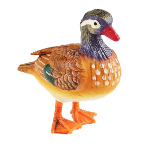 AENIMELY Realistische Mandarinenenten-Figur – solides Wasservögel-Vogelmodell für Desktop, Bonsai und Heimdekoration – pädagogisches Tier-Display Geschenk für Kinder und Vogelliebhaber AENIMELY Realistische Mandarinenenten-Figur – solides Wasservögel-Vogelmodell für Desktop, Bonsai und Heimdekoration – pädagogisches Tier-Display Geschenk für Kinder und Vogelliebhaber von AENIMELY