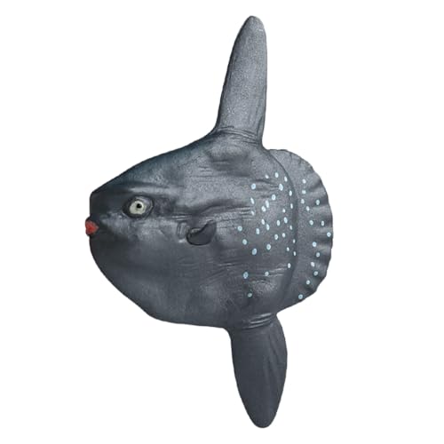 AENIMELY Realistische Mondfisch-Figur – Feste Meeres-Sonnenfisch-Spielzeug für Kinder – Pädagogisches Meeres-Tier, Aquarium-Dekoration, STEM-Geschenk von AENIMELY