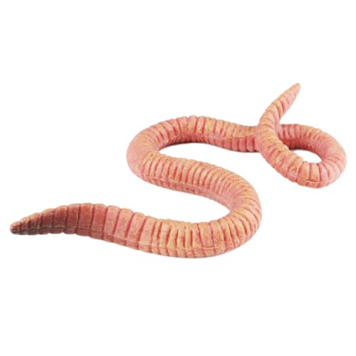 AENIMELY Realistische Regenwurm-Tierfiguren, Insekten-Tierfigur, Streichspielzeug für Kinder, Eduaktionelles Lernmodell, Gag-Spielzeug für Spaß und Schreck-Requisiten AENIMELY Realistische Regenwurm-Tierfiguren, Insekten-Tierfigur, Streichspielzeug für Kinder, Eduaktionelles Lernmodell, Gag-Spielzeug für Spaß und Schreck-Requisiten von AENIMELY