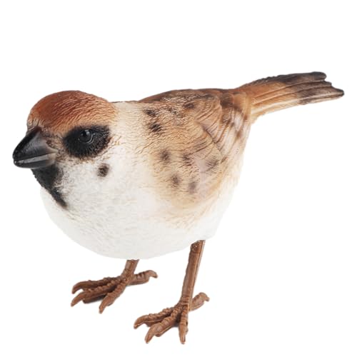 AENIMELY Realistische Spatzenvogel-Figur – solides kleines Singvogelmodell für Bonsai, Desktop und Heimdekoration – pädagogisches Tierdisplay für Kinder und Naturliebhaber von AENIMELY