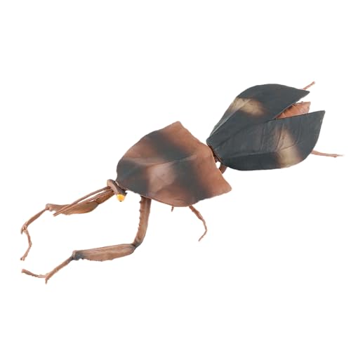 AENIMELY Realistische Totblatt-Mantis-Figur – große Insekten-Tierfiguren aus massivem Kunststoff für Kinder – pädagogisches Arthropoden-Lernspielset, Kuchendekoration, Wissenschaftsgeschenk AENIMELY Realistische Totblatt-Mantis-Figur – große Insekten-Tierfiguren aus massivem Kunststoff für Kinder – pädagogisches Arthropoden-Lernspielset, Kuchendekoration, Wissenschaftsgeschenk von AENIMELY