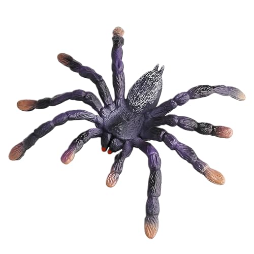 AENIMELY Realistische Vogelspinne Spinne Figur - Kolumbianisches lila Blütenmodell für Kinder - Halloween Streich Requisite, Insekt Tier Spielzeug, STEM Lernen Dekoration AENIMELY Realistische Vogelspinne Spinne Figur - Kolumbianisches lila Blütenmodell für Kinder - Halloween Streich Requisite, Insekt Tier Spielzeug, STEM Lernen Dekoration von AENIMELY