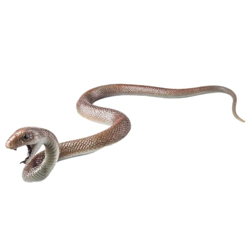 AENIMELY Realistische schwarze Mamba-Schlangen-Figur – TPR-Weichgummi-Tierfiguren – solides Reptilienspielzeug für Kinder, Halloween-Prank-Requisite AENIMELY Realistische schwarze Mamba-Schlangen-Figur – TPR-Weichgummi-Tierfiguren – solides Reptilienspielzeug für Kinder, Halloween-Prank-Requisite von AENIMELY