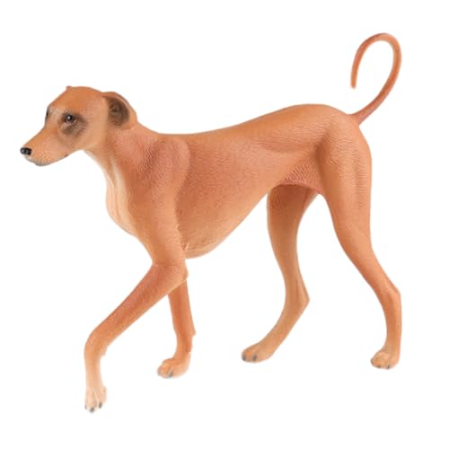 AENIMELY Realistischer Azawakh-Windhund – Feste Plastik beige Windhund-Figur für Kinder, pädagogisches Hunderassen-Lernen, Kuchentopper & Wohnkultur-Display AENIMELY Realistischer Azawakh-Windhund – Feste Plastik beige Windhund-Figur für Kinder, pädagogisches Hunderassen-Lernen, Kuchentopper & Wohnkultur-Display von AENIMELY