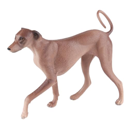 AENIMELY Realistischer Azawakh-Windhund – Feste Plastik braun-graue Windhund-Figur für Kinder, pädagogische Haustier-Dekoration, Kuchentopper & Sammler-Display AENIMELY Realistischer Azawakh-Windhund – Feste Plastik braun-graue Windhund-Figur für Kinder, pädagogische Haustier-Dekoration, Kuchentopper & Sammler-Display von AENIMELY