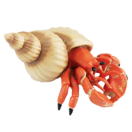 AENIMELY Realistischer Einsiedlerkrebs – Meeres-Tierfiguren für Kinder – Pädagogisches Plastik-Meereslebewesen-Set, Strand-Dekoration, Aquarium-Display für Jungen & Mädchen von AENIMELY