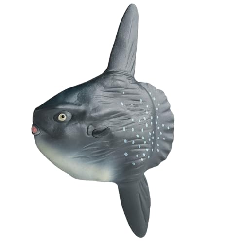 AENIMELY Realistischer Mondfisch Meeres-Sonnenfisch – Feste Meeres-Tierfigur für Kinder – Pädagogisches Meereslebewesen-Modell für STEM-Lernen & Aquarium-Dekoration von AENIMELY