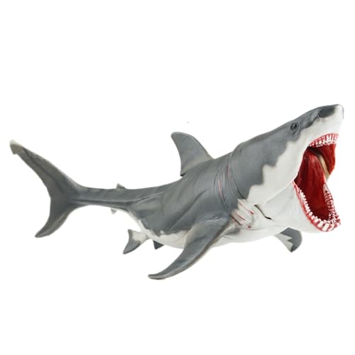 AENIMELY Realistisches Megalodon-Hai-Spielzeug – Beweglicher Kiefer Meeres-Tierfigur für Kinder – Pädagogisches Meereslebewesen-Modell, STEM-Lern-Geschenk, Hai-Deko AENIMELY Realistisches Megalodon-Hai-Spielzeug – Beweglicher Kiefer Meeres-Tierfigur für Kinder – Pädagogisches Meereslebewesen-Modell, STEM-Lern-Geschenk, Hai-Deko von AENIMELY