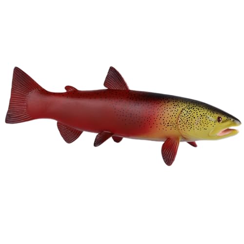 AENIMELY Roter Forellenfisch Tierfiguren – Meerestier, Süßwasserfisch Modell, Lernspielzeug, Aquariendekoration, Kinder Lernspielzeug AENIMELY Roter Forellenfisch Tierfiguren – Meerestier, Süßwasserfisch Modell, Lernspielzeug, Aquariendekoration, Kinder Lernspielzeug von AENIMELY