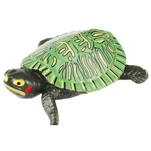 AENIMELY Rotwangen-Schmuckschildkrötenfigur – Realistisches festes Schildkrötenmodell für Kinder – Pädagogisches Reptilien-Spielzeug, Süßwasser-Tier-Lern-Geschenk, Terrarium oder Klassenraumdisplay von AENIMELY