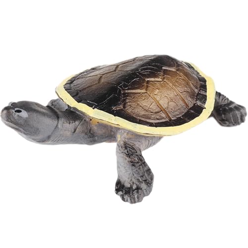 AENIMELY Schildkrötenfigur – Realistisches festes Süßwasser Schildkröten Spielzeug für Kinder – Pädagogische Reptilien-Tierfiguren, Wildtier-Lern-Geschenk, Wissenschafts-Diorama-Dekoration von AENIMELY