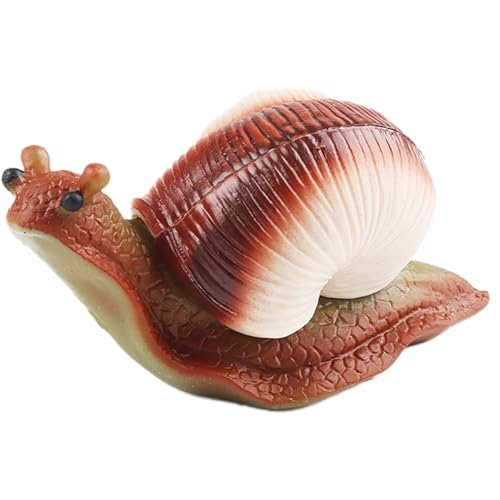 AENIMELY Schnecken-Drück-Spielzeug – Realistische TPR-weiche Gummi-Tierfigur mit hartem Panzer – Stressabbau-Sensorikspielzeug für Kinder, STEM-Lernmodell von AENIMELY