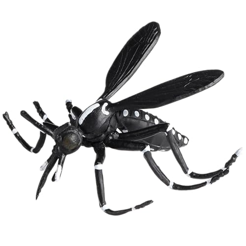 AENIMELY Schwarze Mückenfiguren – Insektenmodell, Lernspielzeug, Kognitive Entwicklung, Wissenschaftsprojekte, Halloween-Party-Mitgebsel AENIMELY Schwarze Mückenfiguren – Insektenmodell, Lernspielzeug, Kognitive Entwicklung, Wissenschaftsprojekte, Halloween-Party-Mitgebsel von AENIMELY