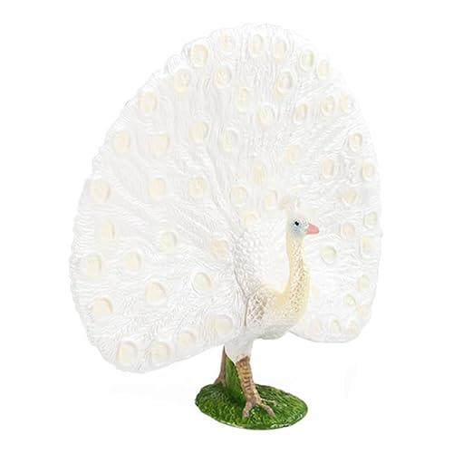 AENIMELY Solides Wildtier-Spielzeugmodell für Kinder, realistische weiße Pfau-Figur, perfekt für kognitives Lernen, Szenendekoration und pädagogisches Spielen AENIMELY Solides Wildtier-Spielzeugmodell für Kinder, realistische weiße Pfau-Figur, perfekt für kognitives Lernen, Szenendekoration und pädagogisches Spielen von AENIMELY