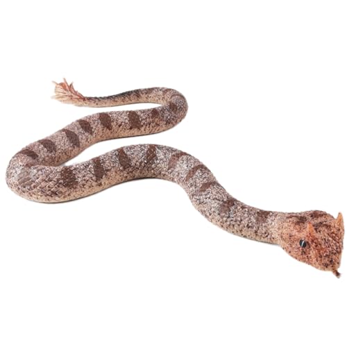 AENIMELY Spider-Tailed Viper Snake Figur - Realistisches weiches Gummi Schlangenspielzeug - Solides Reptilienmodell für Halloween Streich & Dekoration AENIMELY Spider-Tailed Viper Snake Figur - Realistisches weiches Gummi Schlangenspielzeug - Solides Reptilienmodell für Halloween Streich & Dekoration von AENIMELY