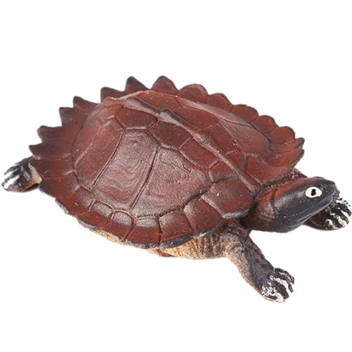 AENIMELY Stachel-Höckerschildkrötenfigur – Realistisches festes Schildkröten-Spielzeug für Kinder – Pädagogisches Wald-Reptilienmodell, Wildtier-Lern-Geschenk, Natur-Display-Set von AENIMELY
