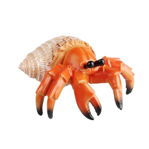 AENIMELY Weiche Gummi-Einsiedlerkrebs-Figur – Realistisches Meerestier Modell, Aquariendekoration, Lernspielzeug für Kinder AENIMELY Weiche Gummi-Einsiedlerkrebs-Figur – Realistisches Meerestier Modell, Aquariendekoration, Lernspielzeug für Kinder von AENIMELY