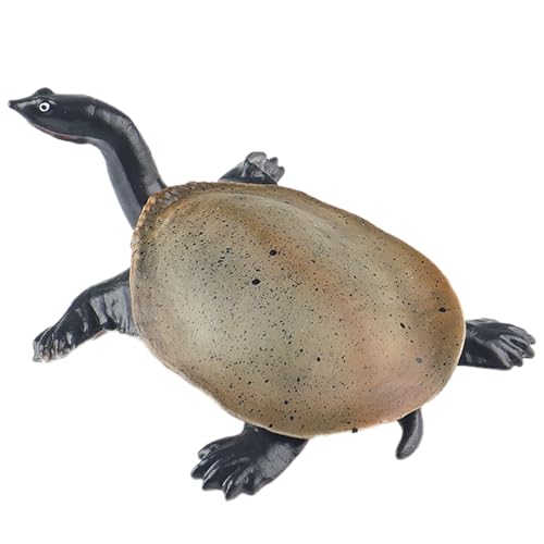 AENIMELY Weichschildkrötenfigur – Realistisches festes Reptilienmodell für Kinder – Pädagogisches Süßwasser-Schildkröten-Spielzeug, Wildtier-Lern-Geschenk, Teich-Diorama-Dekoration von AENIMELY