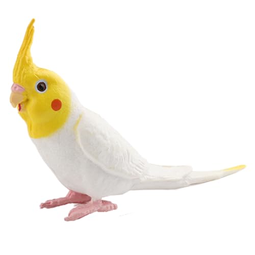 AENIMELY Weiße Nymphensittichfigur – Realistisches festes Papageien-Vogelmodell für Kinder – Pädagogisches Wildtier-Spielzeug, Schreibtisch-Dekoration, Geburtstagsgeschenk von AENIMELY