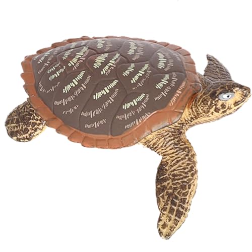 AENIMELY Zierschildkrötenfigur – Realistisches festes Schildkrötenmodell für Kinder – Pädagogisches Teich-Reptilien-Spielzeug, Wildtier-Lern-Geschenk, STEM-Diorama-Display von AENIMELY