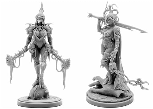 AERUIKJS 1/48 Ancient Female Warrior Samurai Resin Model Kit Unbemalt und unmontiert Soldier Resin Model Kit (2 Person) // K9U-6s12 von AERUIKJS