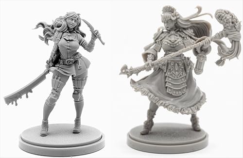 AERUIKJS 1/48 Ancient Female Warrior Samurai Resin Model Kit Unbemalt und unmontiert Soldier Resin Model Kit (2 Person) // K9U-6s3 von AERUIKJS
