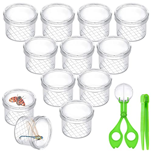 AFAIK Becherlupen für Kinder Becherlupe Lupendose 12 PCS für Wissenschaft/Biologie & Käfersammeln - Insekten Forscherset Kinder von AFAIK