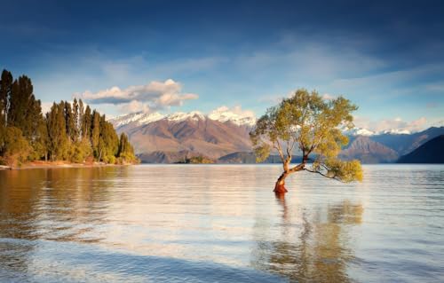 100 Puzzles für Erwachsene | 100-teiliges Puzzle für Erwachsene, Neuseeland, Lake Wanaka, Landschaften, 45,5 x 35,5 cm 100 Puzzles für Erwachsene | 100-teiliges Puzzle für Erwachsene, Neuseeland, Lake Wanaka, Landschaften, 45,5 x 35,5 cm von AFHMZ