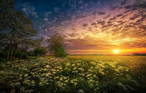 100 Teile Puzzle Mädchen, Natürliche Schönheit, Sonne, Sonnenuntergang 45,5x35,5CM 100 Teile Puzzle Mädchen, Natürliche Schönheit, Sonne, Sonnenuntergang 45,5x35,5CM von AFHMZ