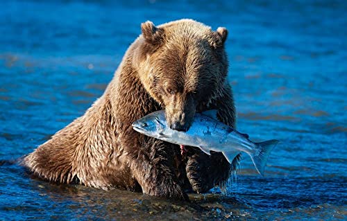 100-teiliges Puzzle Fischbär 45,5 x 35,5 cm von AFHMZ