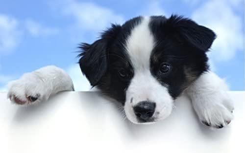 100-teiliges Puzzle für Erwachsene/Border Collie/Herausfordernde Puzzlespiele für Erwachsene, Denksportaufgabe für Erwachsene, Lernspiele, Geschenk, 45,5 x 35,5 cm von AFHMZ