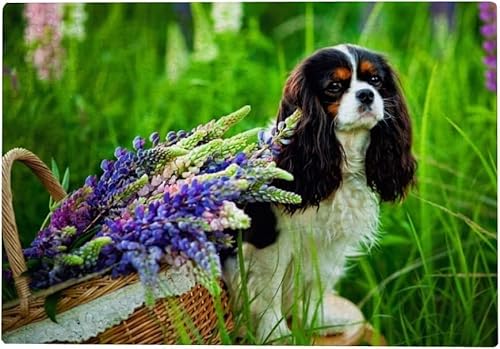 1000 Teile Hund im Park Puzzle für Erwachsene Cavalier King Charles Spaniel Hundepuzzle Schwieriges und herausforderndes großes Puzzlespiel Spielzeug Geschenk für Teenager 52x38CM von AFHMZ