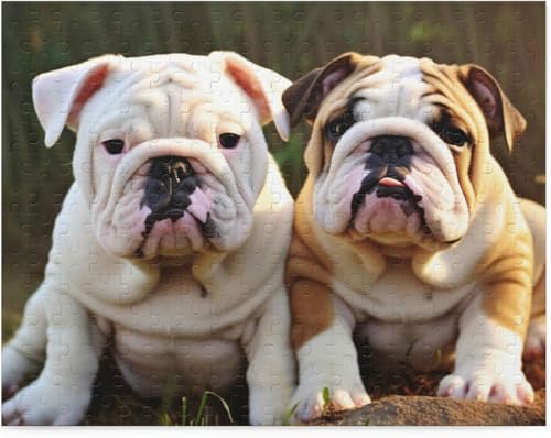 1000 Teile Puzzle für Erwachsene, Englische Bulldogge, Puzzle-Requisiten für Jugendliche und Kinder, lustige Spiele, Lernspielzeug, DIY-Modernisierungsgeschenke für Hundeliebhaber, 52 x 38 cm 1000 Teile Puzzle für Erwachsene, Englische Bulldogge, Puzzle-Requisiten für Jugendliche und Kinder, lustige Spiele, Lernspielzeug, DIY-Modernisierungsgeschenke für Hundeliebhaber, 52 x 38 cm von AFHMZ