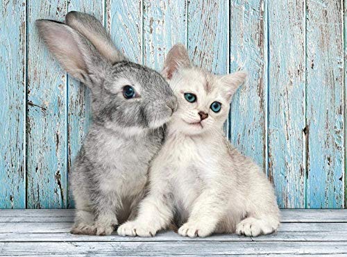 1000 Teile süßes Kaninchen Katze Kinder Kognition Spielzeug Lernen Erwachsene Denkspiele Puzzles 38x26CM von AFHMZ