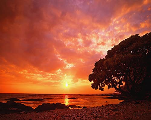 1000-teiliges Puzzle, Meer, Sonnenuntergang, Strand, für Kinder und Erwachsene, Papierspielzeug, Lernspiel, 70 x 50 cm 1000-teiliges Puzzle, Meer, Sonnenuntergang, Strand, für Kinder und Erwachsene, Papierspielzeug, Lernspiel, 70 x 50 cm von AFHMZ