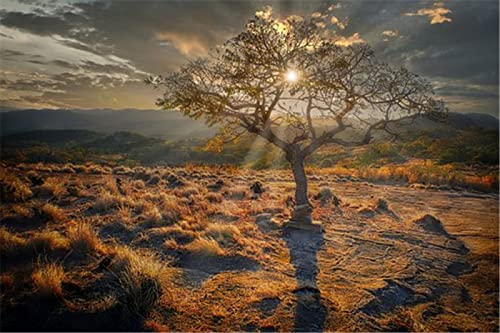 1000-teiliges Puzzle | Baum auf dem Berggipfel | Puzzle für Erwachsene und Jugendliche, 108 Teile, 70 x 50 cm 1000-teiliges Puzzle | Baum auf dem Berggipfel | Puzzle für Erwachsene und Jugendliche, 108 Teile, 70 x 50 cm von AFHMZ