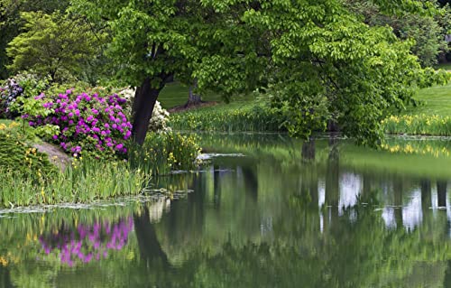 1000-teiliges Puzzle Mädchen, natürliche Schönheit, Blumen, Parks, Teiche 70 x 50 cm 1000-teiliges Puzzle Mädchen, natürliche Schönheit, Blumen, Parks, Teiche 70 x 50 cm von AFHMZ