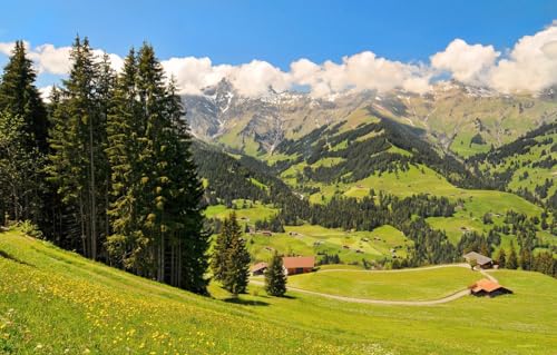 1000-teiliges Puzzle für Erwachsene | Familienspaß-Puzzle 1000 Teile für Erwachsene, Geschenke, Bäume, Berge, Fichte, 70 x 100 cm von AFHMZ