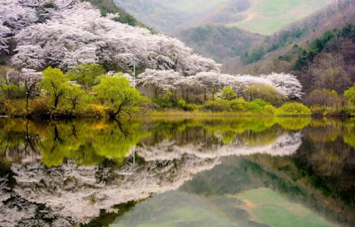 200 Teile, DIY-Puzzle, Kreative Unterhaltung, Geschenk, Vergnügen, Klassische Puzzles, Korea, Landschaften 35x25CM 200 Teile, DIY-Puzzle, Kreative Unterhaltung, Geschenk, Vergnügen, Klassische Puzzles, Korea, Landschaften 35x25CM von AFHMZ