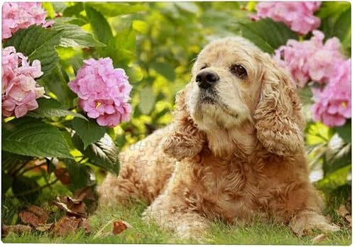 200 Teile Puzzle für Erwachsene Englischer Cocker Spaniel Hund 35x25CM 200 Teile Puzzle für Erwachsene Englischer Cocker Spaniel Hund 35x25CM von AFHMZ