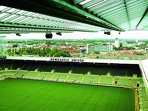 200-teiliges Papierpuzzle, St. James Park Newcastle, Puzzle für Erwachsene 200 Teile, Puzzles für Kinder, Wohnkultur für Erwachsene 35x25CM von AFHMZ