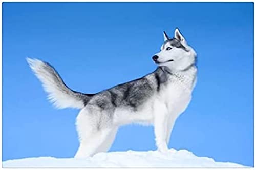 200-teiliges Puzzle für Erwachsene, Holzpuzzle, Ölgemälde-Puzzle mit Alaskan Malamute, Geschenk für die Freundin, 35 x 25 cm 200-teiliges Puzzle für Erwachsene, Holzpuzzle, Ölgemälde-Puzzle mit Alaskan Malamute, Geschenk für die Freundin, 35 x 25 cm von AFHMZ