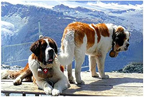 300-teiliges Puzzle für Erwachsene, Bernhardinerhund, Hobbys, Kinderspielzeug, Heimdekoration, Kunstgeschenke, 38 x 26 cm 300-teiliges Puzzle für Erwachsene, Bernhardinerhund, Hobbys, Kinderspielzeug, Heimdekoration, Kunstgeschenke, 38 x 26 cm von AFHMZ