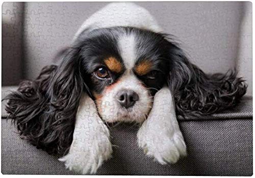 300-teiliges Puzzle für Erwachsene – Cavalier King Charles Spaniel Hund, Lernspielzeug, Gehirn-Herausforderung, Freizeitaktivitäten, Holzpuzzle, 38 x 26 cm von AFHMZ