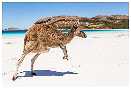 300-teiliges Puzzle für Erwachsene und Kinder, Papierpuzzle, geeignet für Kinder ab 10 Jahren – White Rock Girl 38 x 26 cm 300-teiliges Puzzle für Erwachsene und Kinder, Papierpuzzle, geeignet für Kinder ab 10 Jahren – White Rock Girl 38 x 26 cm von AFHMZ