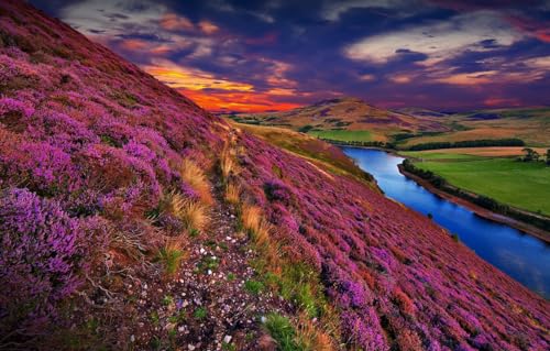 500-teiliges Puzzle, Puzzle für Erwachsene, Unmögliches Puzzle, Familienspaßspiel, Puzzle für Erwachsene aus, Hügel, Großbritannien, Pentland Hills, Landschaften 52x38CM 500-teiliges Puzzle, Puzzle für Erwachsene, Unmögliches Puzzle, Familienspaßspiel, Puzzle für Erwachsene aus, Hügel, Großbritannien, Pentland Hills, Landschaften 52x38CM von AFHMZ