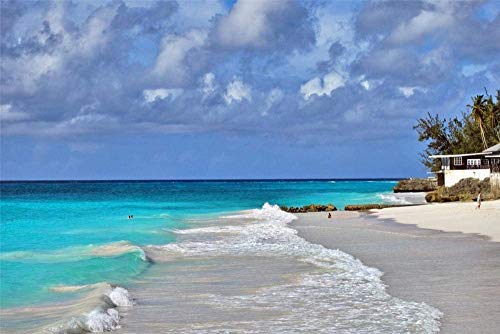 Barbados Beach - Puzzle für Erwachsene 1000-teiliges DIY-Puzzle Kinderspielzeug 52x38CM von AFHMZ