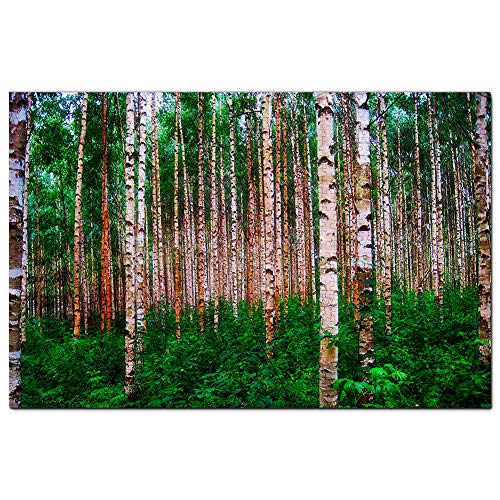Finnland Birken Puzzle 2000 Teile Spiel Kunstwerk Reise Souvenir 70x100CM von AFHMZ